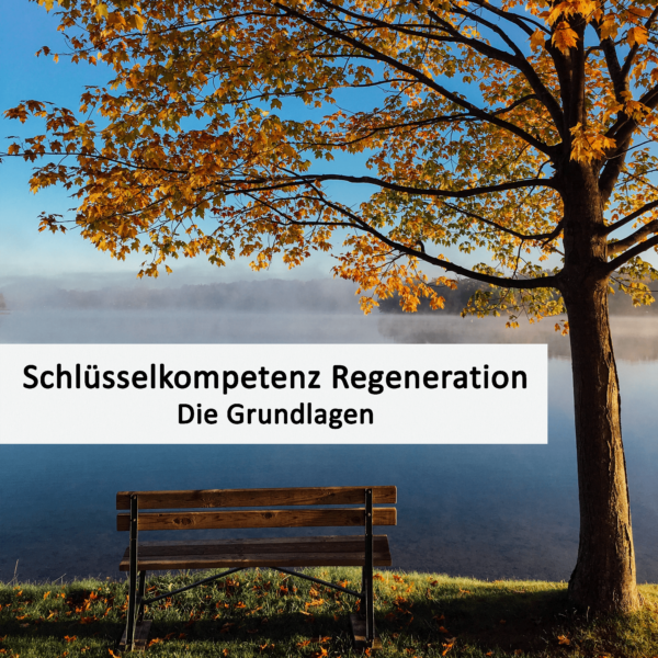 Die Grundlagen der Regeneration