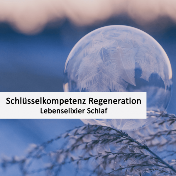 Lebenselixier Schlaf