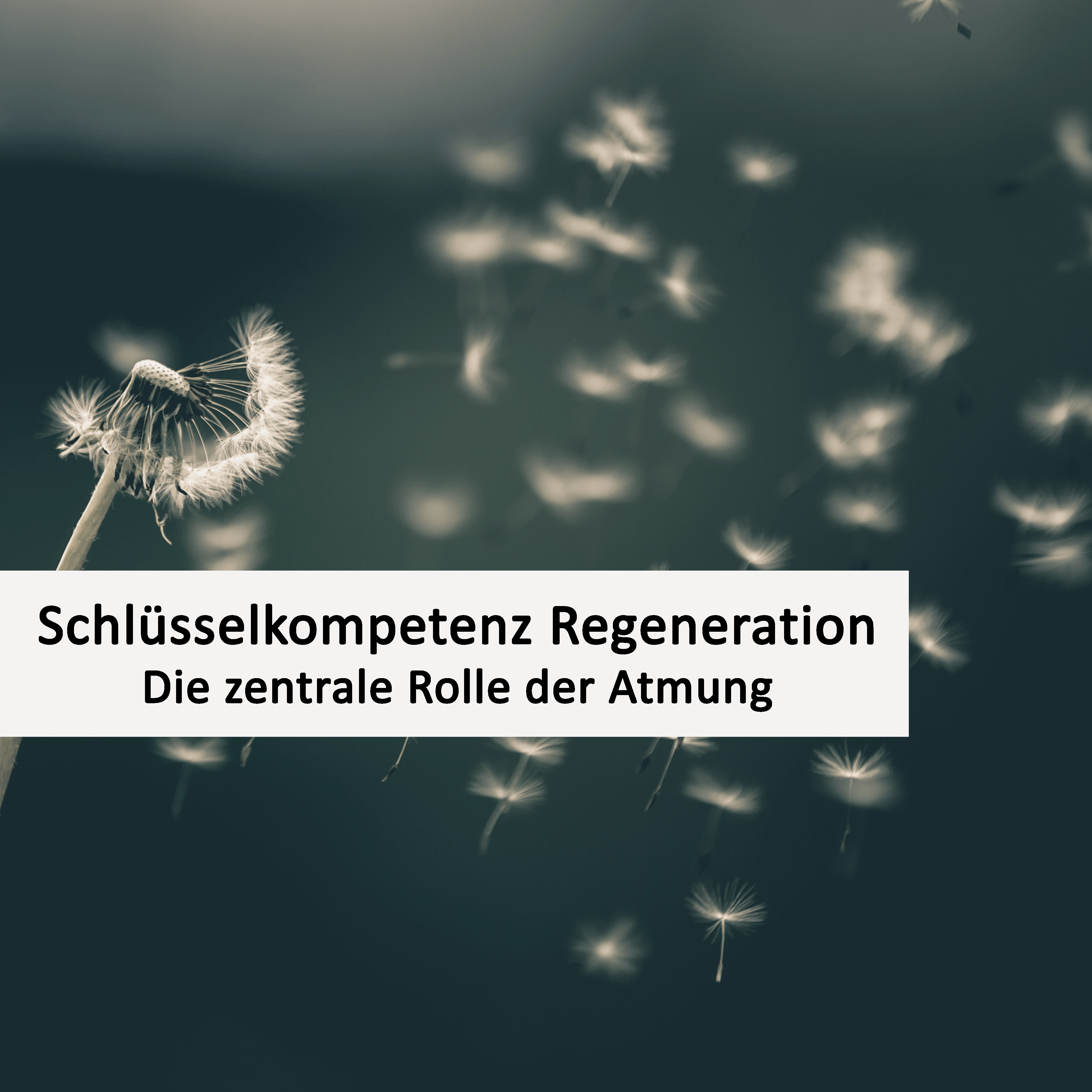 Die zentrale Rolle der Atmung - E-Book schlüsselkompetenz regeneration die zentrale rolle der atmung