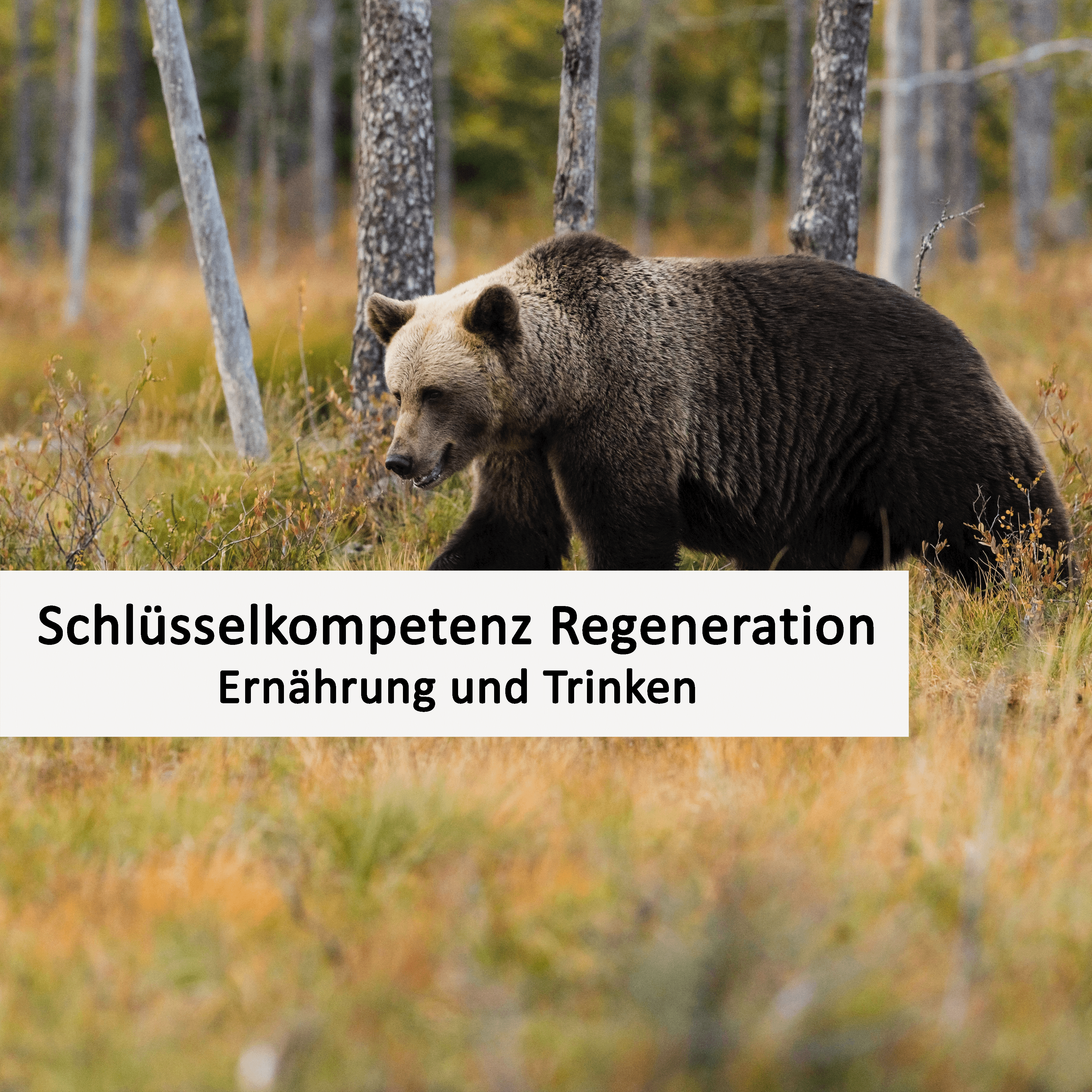 Ernährung und Trinken - E-Book schlüsselkompetenz regeneration ernährung und trinken