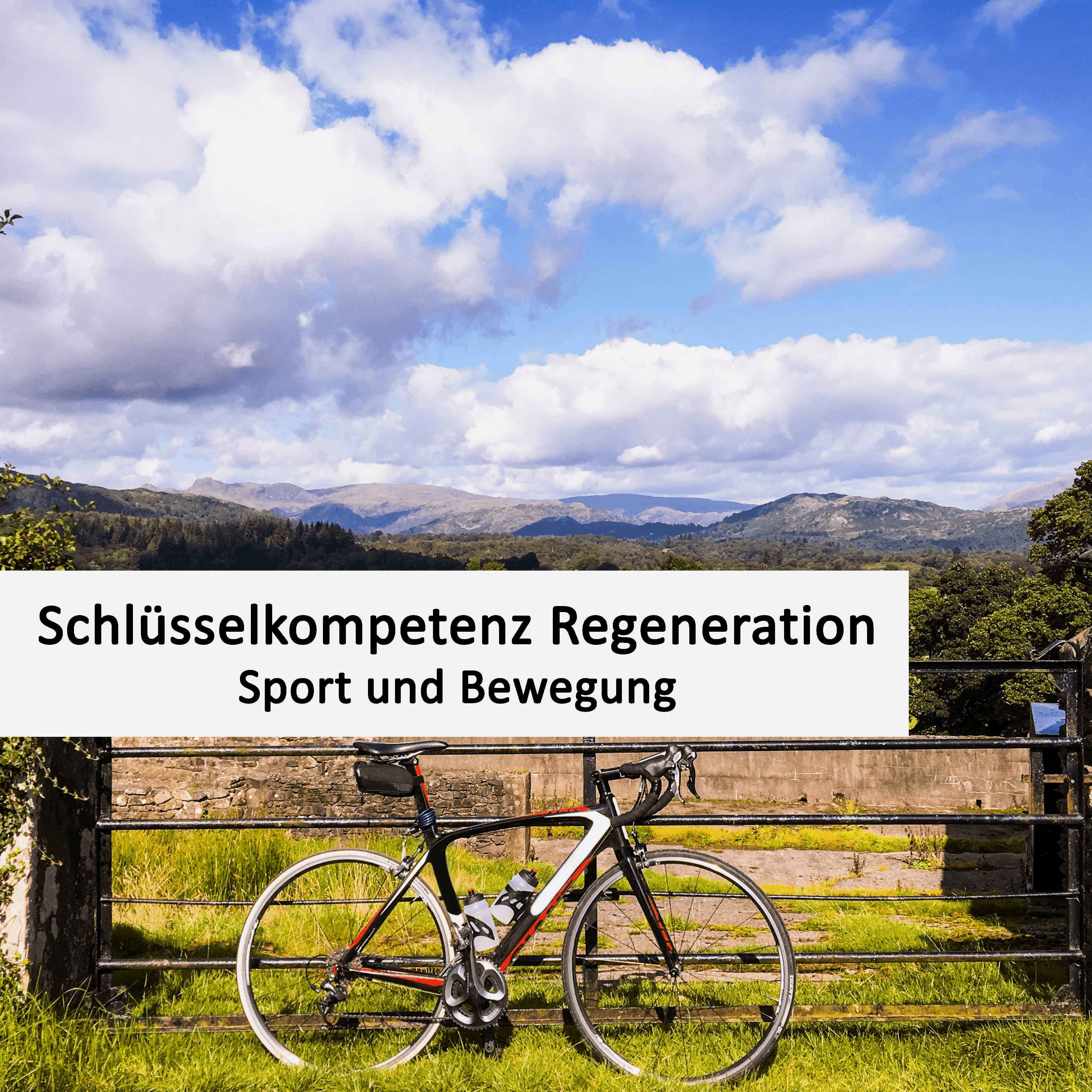 Sport und Bewegung - E-Book schlüsselkompetenz regeneration sport und bewegung