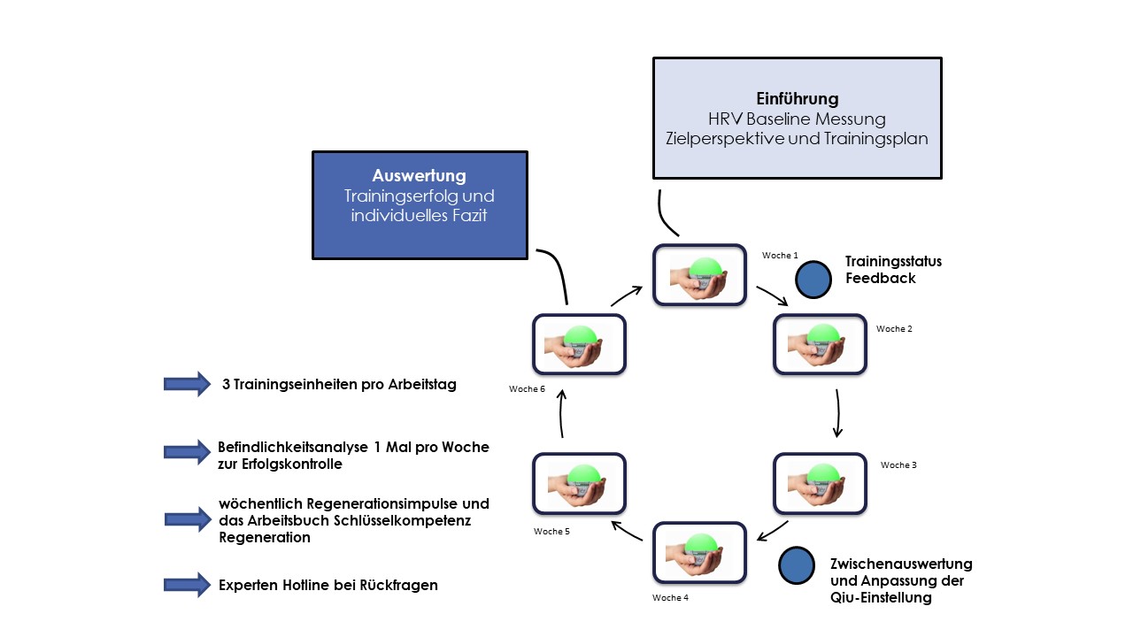 schlüsselkompetenz regeneration folie2
