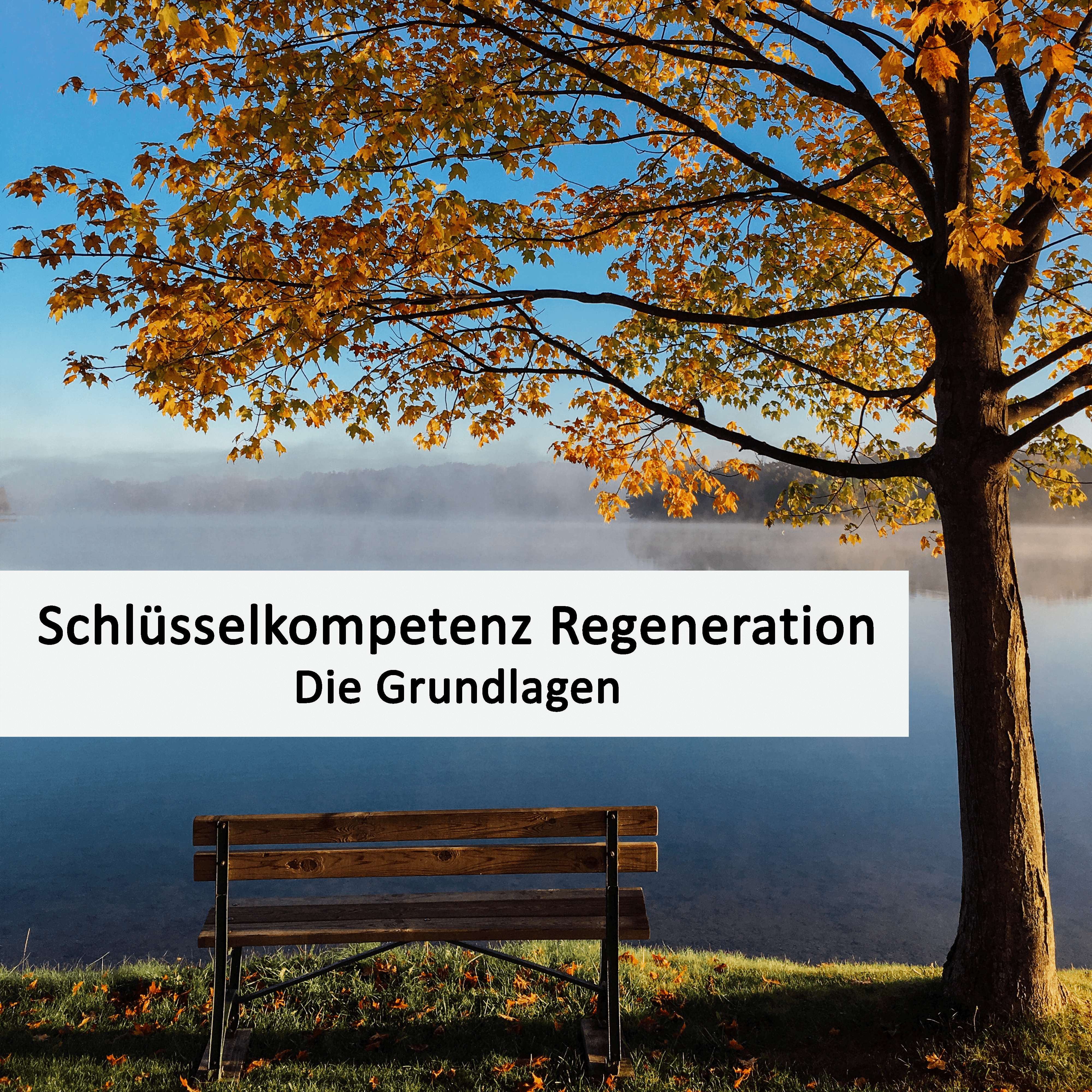 Die Grundlagen der Regeneration - E-Book cover grundlagen